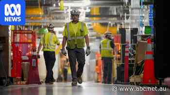 US unexpectedly sheds 23,000 jobs in blow for Trump before midterms