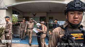 Seven killed after Thai student opens fire at home and school