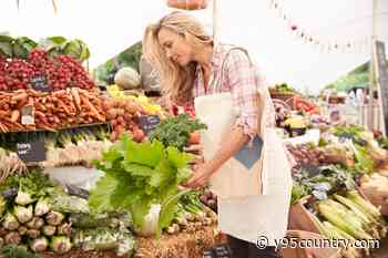 Annual Cheyenne Farmers Market Kicks Off Saturday, August 8