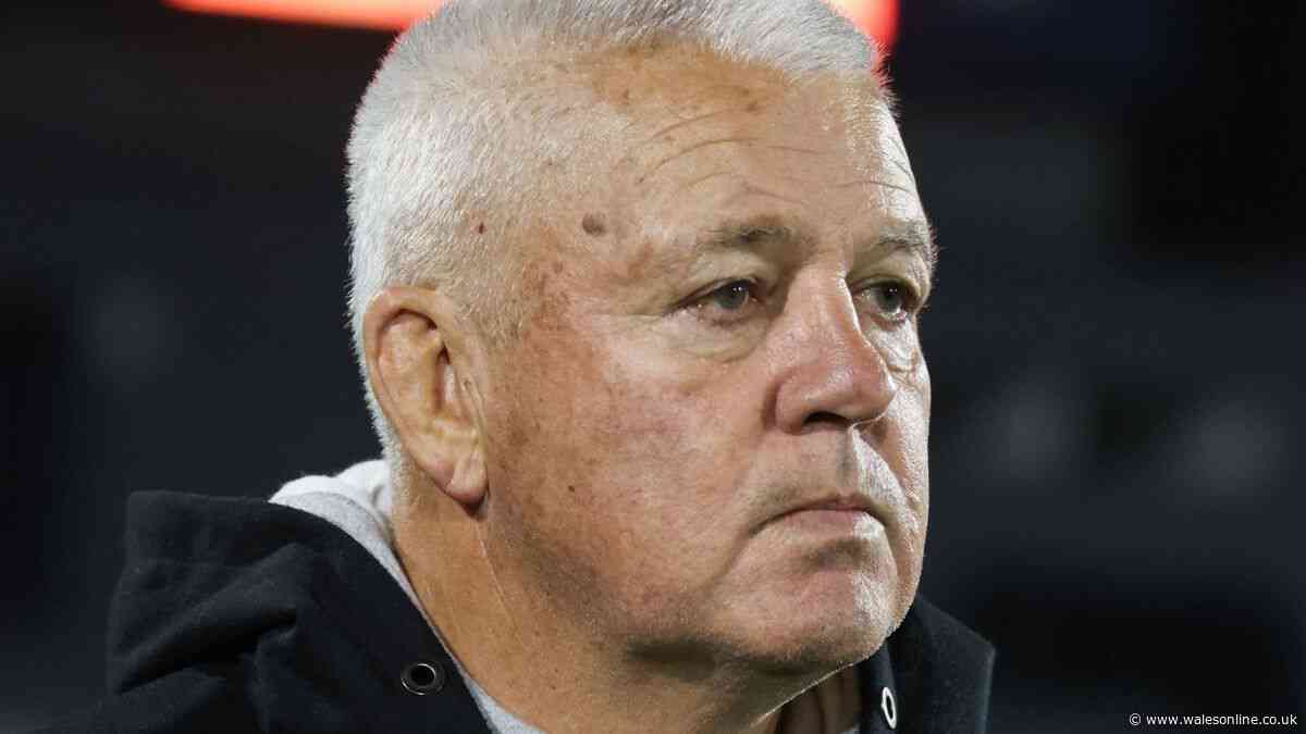Door opens for Warren Gatland World Cup return against Ireland as coach sacked