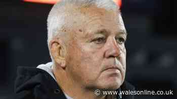 Door opens for Warren Gatland World Cup return against Ireland as coach sacked