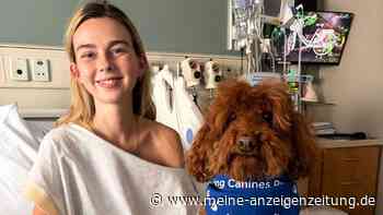 Influencerin Sydney Towle mit 26 an Krebs gestorben