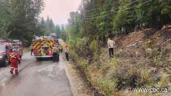 Suspicious fires break out near Shuswap Lake amid high fire danger