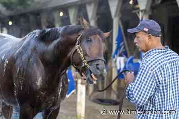 Sovereignty, Magnitude, Nitrogen the headline attractions in star-studded Whitney at Saratoga