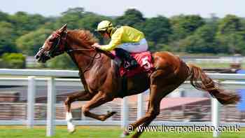 Horse Power: Sallaal to bloom in the Rose Of Lancaster Stakes at Haydock Park