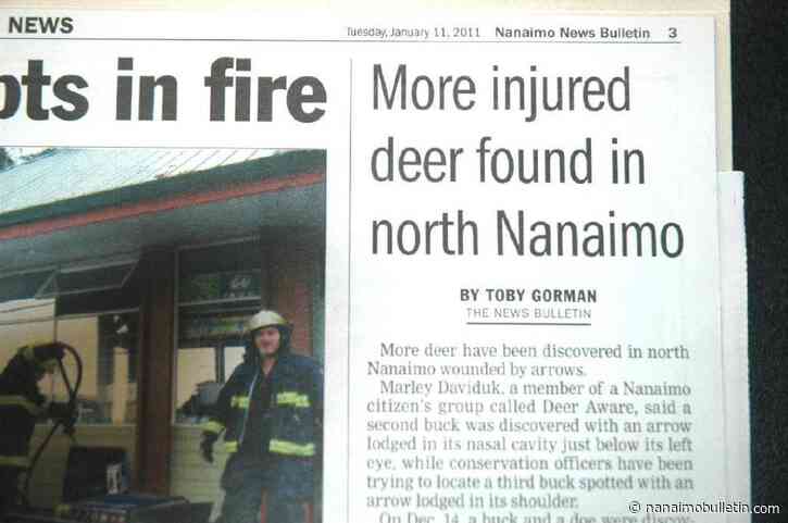 Headline history: Deer being shot with arrows in Nanaimo has long history