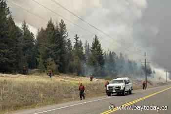 Police in B.C. launch wildfires arson investigations in Interior and Metro Vancouver