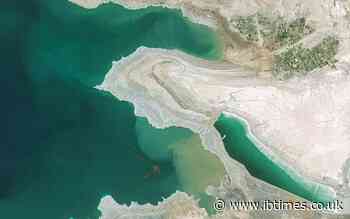 Dead Sea Prophecy: Scientists Explain Why Freshwater Pools and Fish Are Appearing Now