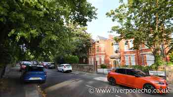 'Lovely leafy area' where McDonald's customers 'use street as a bin'