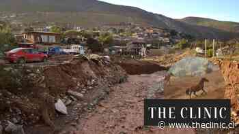“Mi hermano falleció, pero los animales siguen ahí”: El drama que enfrenta la familia de una las víctimas fatales del aluvión en Coquimbo