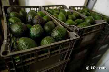 Mexican avocado exports to the US have been stopped again. Why?