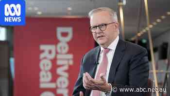 Albanese returns to a gambling debate ready to catch fire