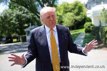 Trump brags about endorsement record and dismisses his loss because the candidate had ‘virtually no chance of winning’