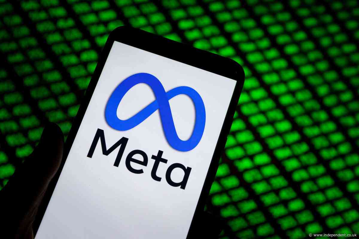 Meta paying price for ‘cavalier approach’ to online safety, say UK campaigners