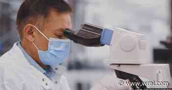 From sample to diagnosis: Inside the Cyclospora testing process