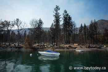 B.C. police launch wildfire arson investigations, as blazes raise trauma in Shuswap