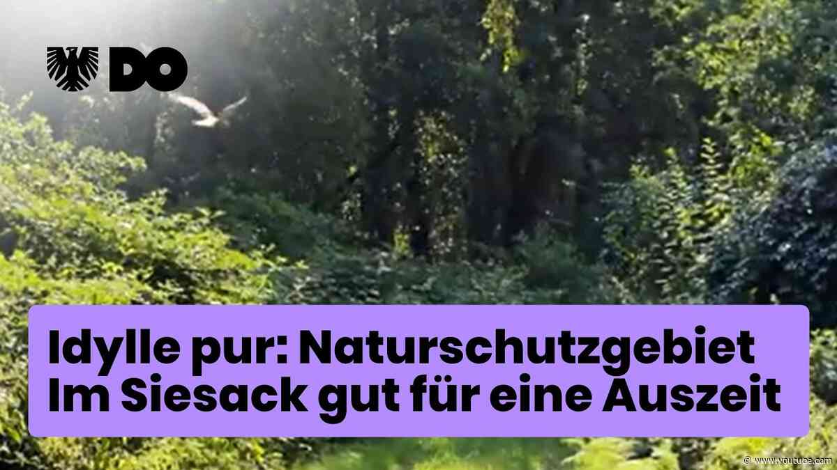 Idylle pur: Auszeit im Naturschutzgebiet Im Siesack bringt Entspannung