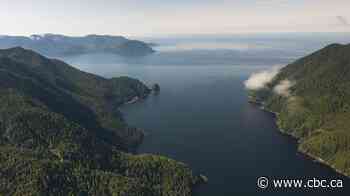 Haida Gwaii rattled by magnitude 4.3 earthquake in B.C. waters