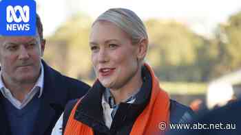 Ashton Hurn can’t distance herself from Liberal Party’s internal problems forever