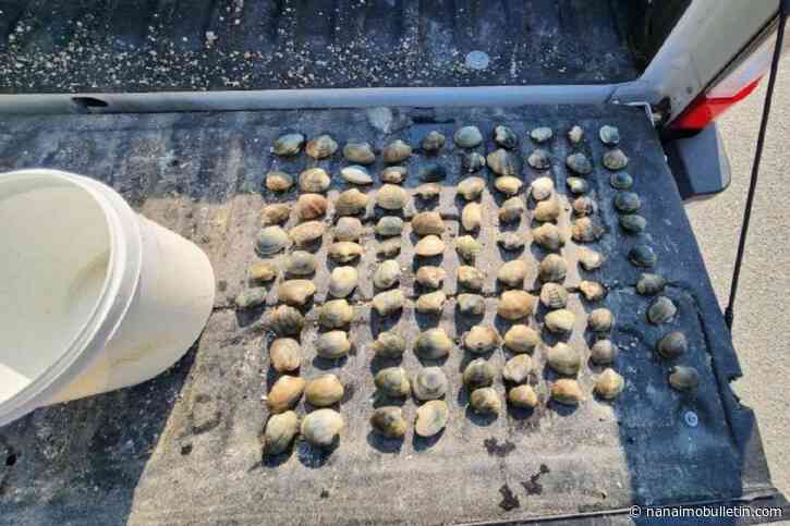 DFO convicts four people for illegal shellfish harvesting in Deep Bay