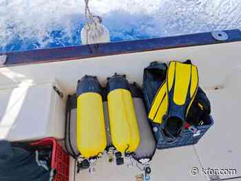 Man accused of cutting off Florida diver's air supply responds to accusations: 'All lies'