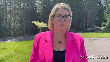 Fundy Albert council refuses to discuss invite to pride parade in Moncton