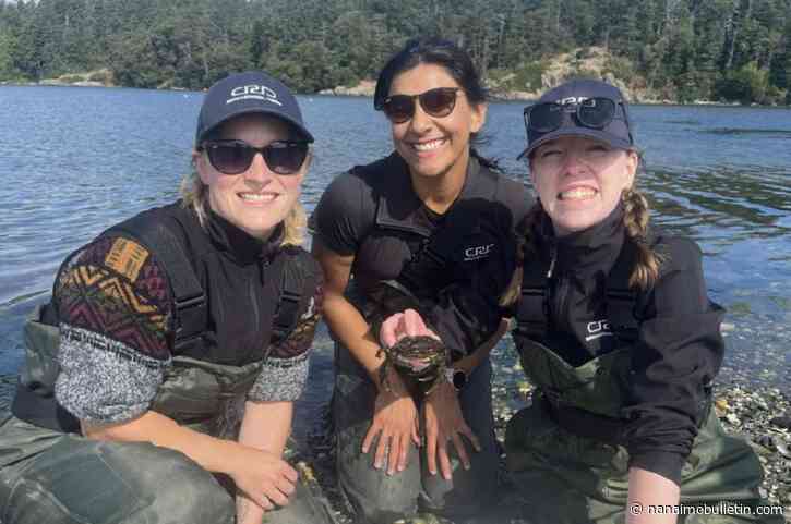 Vancouver Island public urged to be vigilant of invasive species