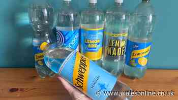 I tried lemonade from Aldi, Lidl, M&S and more — Schweppes beaten by 49p bottle