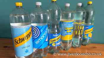 I tried lemonade from Aldi, Lidl, M&S and more — cheapest beat Schweppes