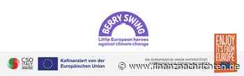 Berry Swing: Qualität, Sicherheit und Nachhaltigkeit: die drei entscheidenden Faktoren in der Lieferkette für Beeren