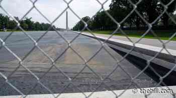 Trump maintains vandalism claims, calls on Pirro to 're-visit' Reflecting Pool