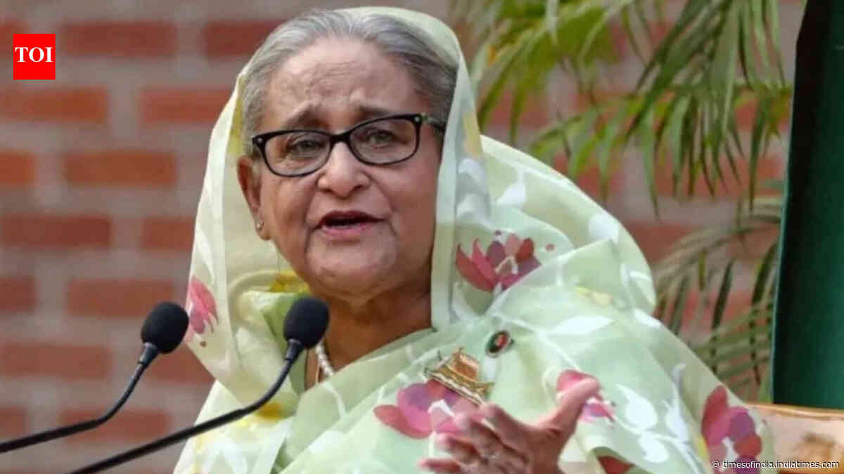 No government role, don’t endorse Hasina’s remarks at private media event: MEA