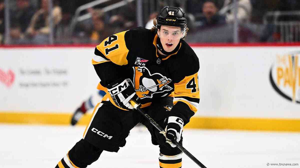 The Pittsburgh Penguins may have just given out one of the riskiest contracts in NHL history