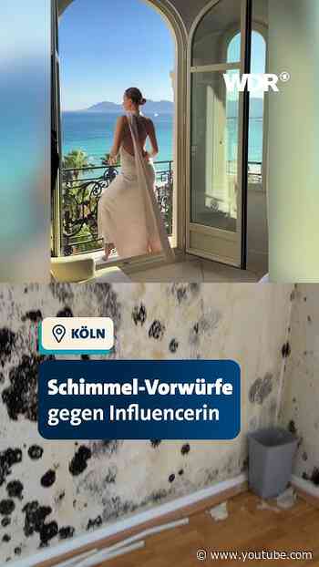 Luxusleben vs. Schimmel-Vorwürfe I WDR #shorts #Schimmel #Vermieter