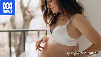 Experts concerned Australians may be using unnecessary prenatal supplements
