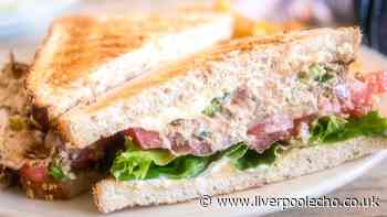 Stop adding mayonnaise to tuna when 1 simple ingredient chef loves makes it tastier