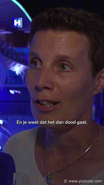De walvis staat onder druk: Walvisdagen bij Ecomare op Texel
