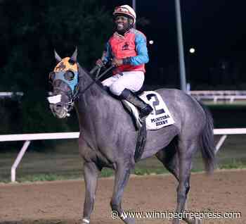 Western Warrior’s win should have come as no surprise