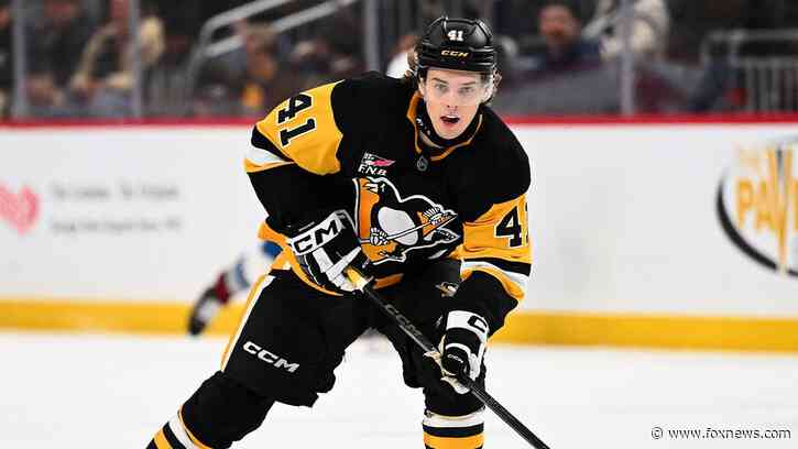 The Pittsburgh Penguins may have just given out one of the riskiest contracts in NHL history