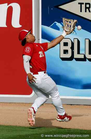 Goldeyes win franchise record 13th consecutive game