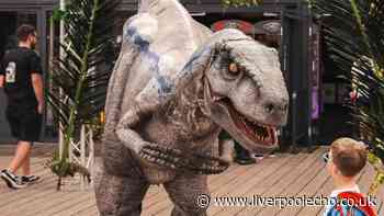North Wales seaside town gets new dinosaur experience inside family zoo