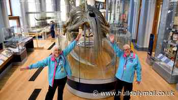 Hull Maritime Museum reopening 'worth the wait' as council leader hails 'world class visitor experience'