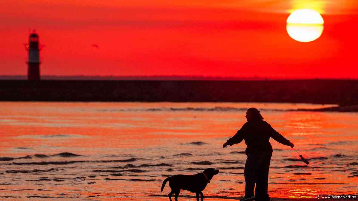 Mit dem Deutschlandticket ins Abenteuer: Tagesausflüge für Familien ab Hamburg