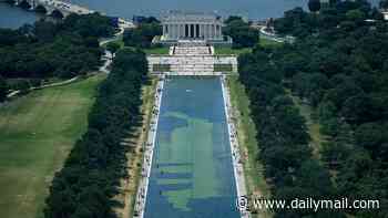 Trump presents fresh 'evidence' Reflecting Pool WAS vandalized as he makes an unsubtle demand of besieged US Attorney Jeanine Pirro