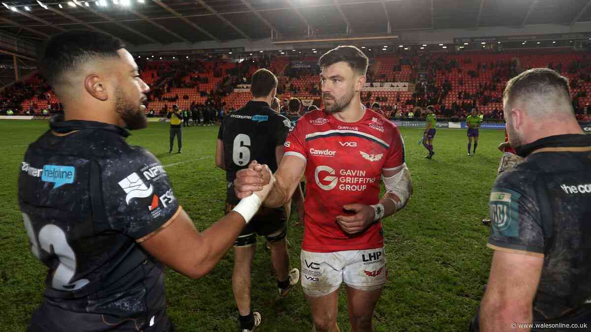 Nigel Owens: Cutting region would be so sad - you won't get crowds by merging teams