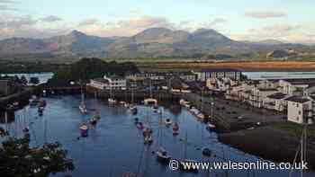Everyone recommends Tenby, but this is the Welsh seaside town I keep going back to
