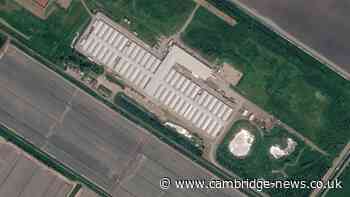 30 worker cabins at Cambridgeshire mushroom farm planned on ‘high risk’ flood land
