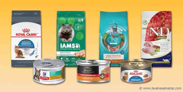 Best weight loss food for cats, with nutrition recommendations from veterinarians