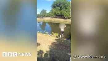 Suspect tries to escape police by jumping in river