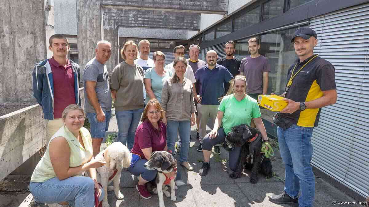 Postboten mit Biss: Wie sie für den Umgang mit Hunden trainieren